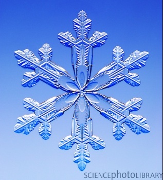 e127434-snowflake-spl.jpeg