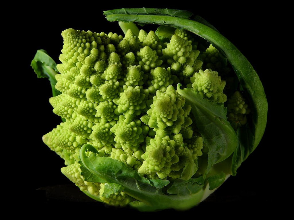 fractal_broccoli.jpeg